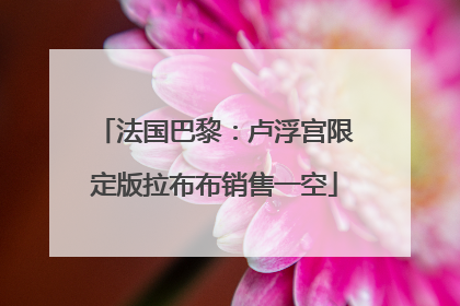 法国巴黎：卢浮宫限定版拉布布销售一空