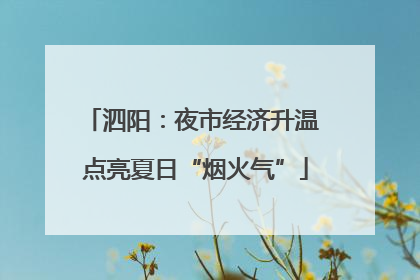 泗阳：夜市经济升温 点亮夏日“烟火气”