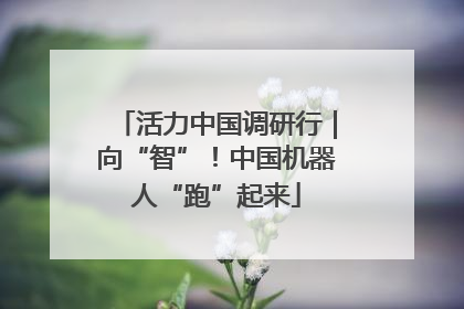 活力中国调研行｜向“智”！中国机器人“跑”起来