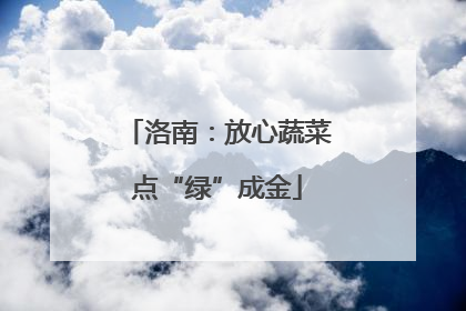 洛南：放心蔬菜点“绿”成金
