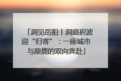 洞见岳阳丨洞庭碧波迎“归客”：一座城市与麋鹿的双向奔赴