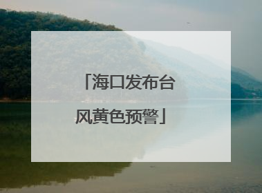 海口发布台风黄色预警