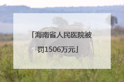 海南省人民医院被罚1506万元