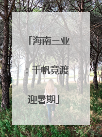 海南三亚：千帆竞渡迎暑期