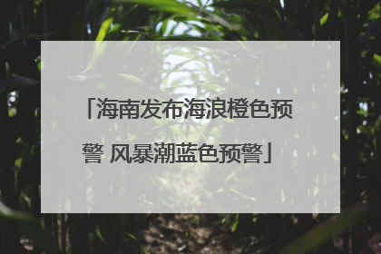 海南发布海浪橙色预警 风暴潮蓝色预警