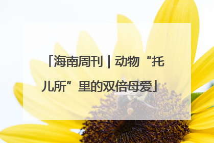 海南周刊｜动物“托儿所”里的双倍母爱