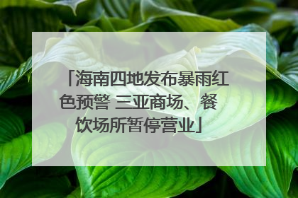海南四地发布暴雨红色预警 三亚商场、餐饮场所暂停营业