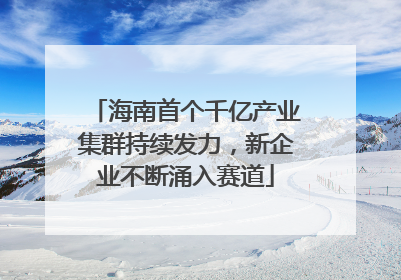 海南首个千亿产业集群持续发力，新企业不断涌入赛道