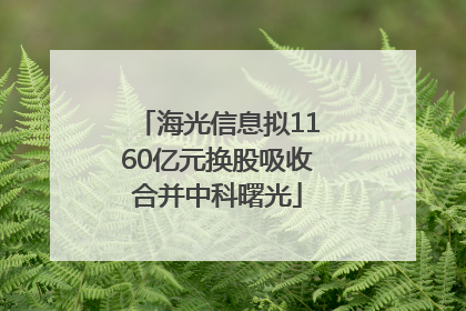 海光信息拟1160亿元换股吸收合并中科曙光