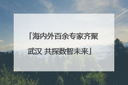 海内外百余专家齐聚武汉 共探数智未来