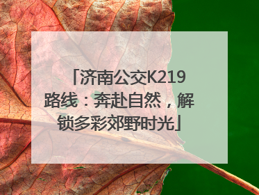 济南公交K219路线：奔赴自然，解锁多彩郊野时光