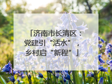 济南市长清区：党建引“活水”，乡村启“新程”