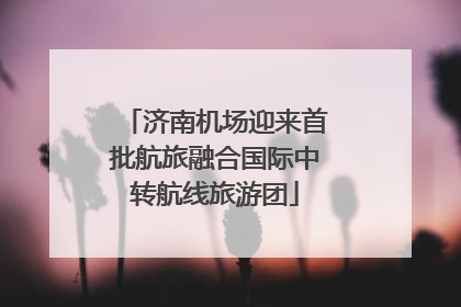 济南机场迎来首批航旅融合国际中转航线旅游团