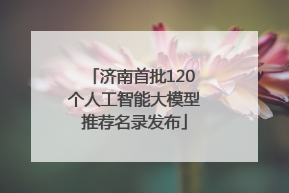 济南首批120个人工智能大模型推荐名录发布