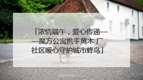 浓情端午，爱心传递——魔方公寓携手黄木 厂社区暖心守护城市蜂鸟
