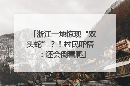 浙江一地惊现“双头蛇”？！村民吓懵：还会倒着爬