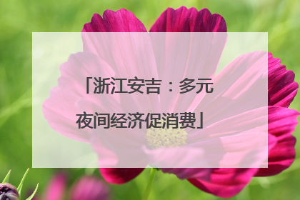 浙江安吉：多元夜间经济促消费