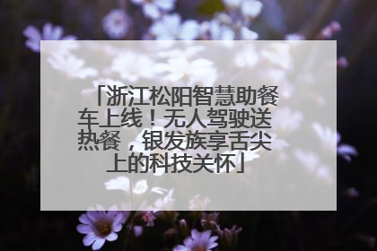 浙江松阳智慧助餐车上线！无人驾驶送热餐，银发族享舌尖上的科技关怀