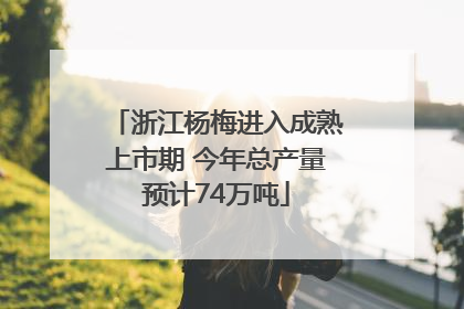 浙江杨梅进入成熟上市期 今年总产量预计74万吨