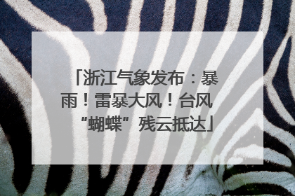 浙江气象发布：暴雨！雷暴大风！台风“蝴蝶”残云抵达