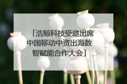 浩鲸科技受邀出席中国移动中资出海数智赋能合作大会