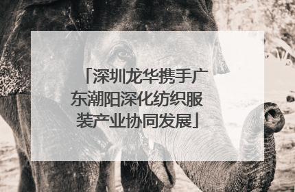 深圳龙华携手广东潮阳深化纺织服装产业协同发展