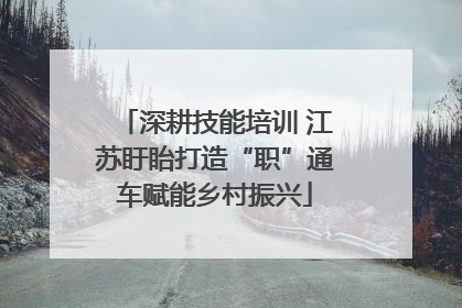 深耕技能培训 江苏盱眙打造“职”通车赋能乡村振兴