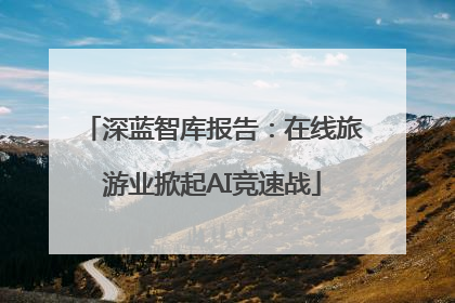深蓝智库报告：在线旅游业掀起AI竞速战