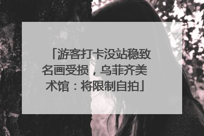 游客打卡没站稳致名画受损，乌菲齐美术馆：将限制自拍