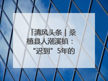 清风头条｜桑植县人潮溪镇：“迟到”5年的生态林补偿金