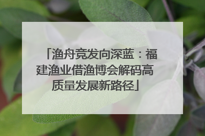 渔舟竞发向深蓝：福建渔业借渔博会解码高质量发展新路径