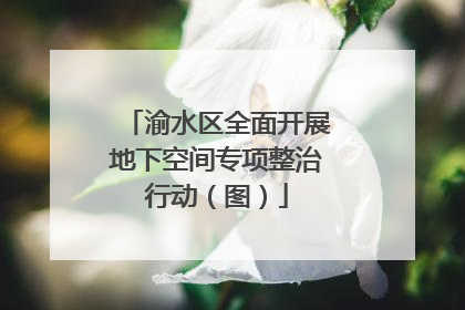 渝水区全面开展地下空间专项整治行动（图）