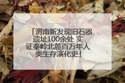 渭南新发现旧石器遗址100余处 实证秦岭北麓百万年人类生存演化史