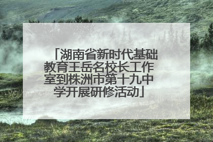 湖南省新时代基础教育王岳名校长工作室到株洲市第十九中学开展研修活动