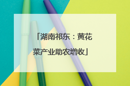 湖南祁东：黄花菜产业助农增收