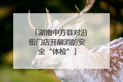 湖南中方县对沿街门店开展消防安全“体检”