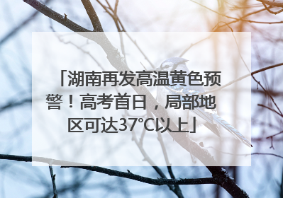 湖南再发高温黄色预警！高考首日，局部地区可达37℃以上