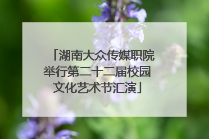 湖南大众传媒职院举行第二十二届校园文化艺术节汇演