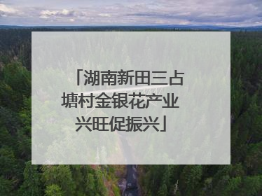 湖南新田三占塘村金银花产业兴旺促振兴
