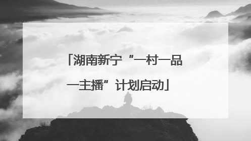 湖南新宁“一村一品一主播”计划启动