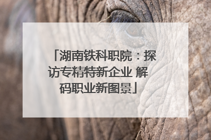 湖南铁科职院：探访专精特新企业 解码职业新图景