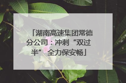 湖南高速集团常德分公司：冲刺“双过半” 全力保安畅