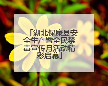 湖北保康县安全生产暨全民禁毒宣传月活动精彩启幕