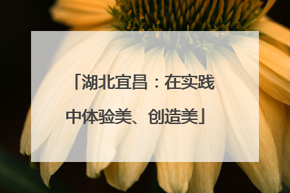 湖北宜昌：在实践中体验美、创造美