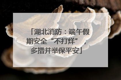 湖北消防：端午假期安全“不打烊”，多措并举保平安
