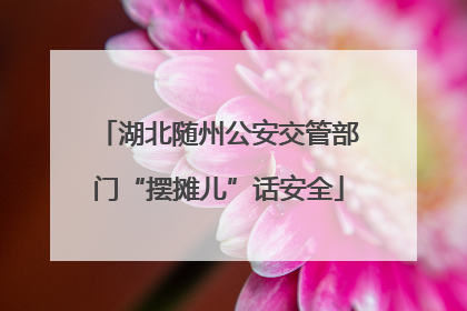 湖北随州公安交管部门“摆摊儿”话安全