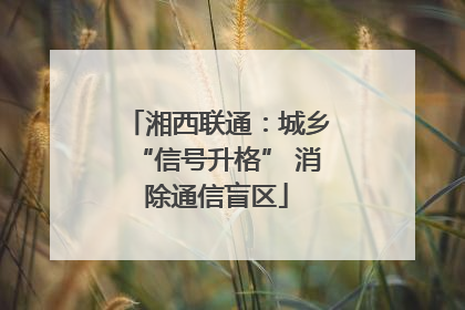 湘西联通：城乡“信号升格” 消除通信盲区
