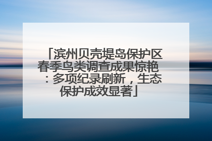 滨州贝壳堤岛保护区春季鸟类调查成果惊艳：多项纪录刷新，生态保护成效显著