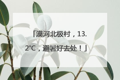 漠河北极村，13.2℃，避暑好去处！