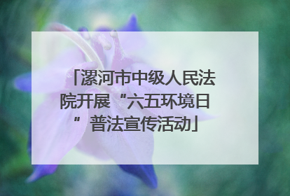 漯河市中级人民法院开展“六五环境日”普法宣传活动